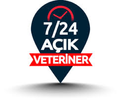 Kedi ve Köpek Acil Durum Rehberi: Zehirlenme, Travma, Nöbet — Ne Yapmalı?   Kediniz aniden felç geçirdi. Köpeğiniz çikolata yedi. Balkondan düşme, araba çarpması, bilinmeyen bir maddeyi yutma... Bu durumlardan herhangi biri dakikalar içinde hayat ile ölüm